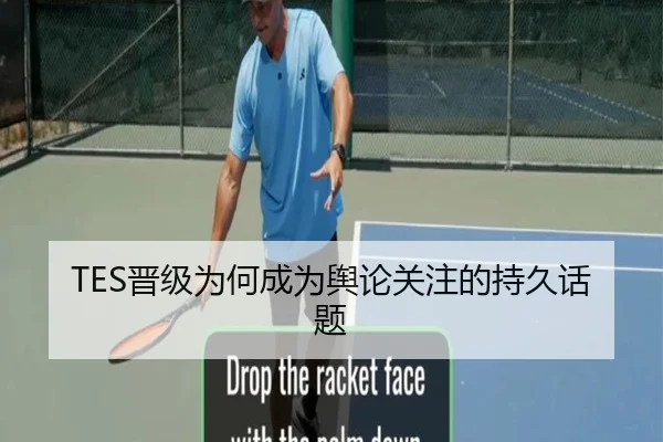 TES晋级为何成为舆论关注的持久话题