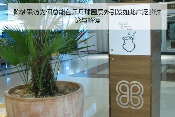陈梦采访为何总能在乒乓球圈层外引发如此广泛的讨论与解读
